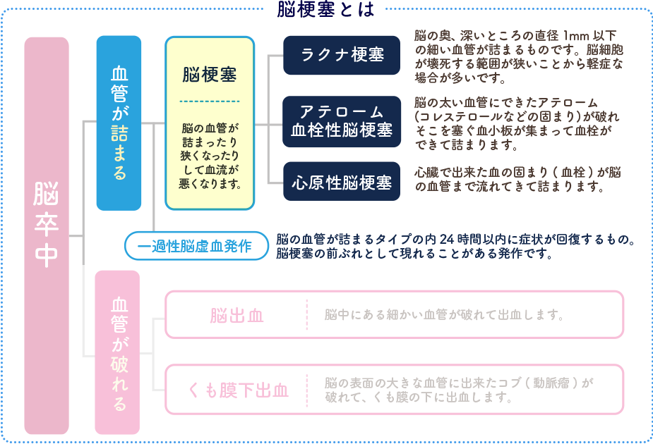 脳卒中と脳梗塞の3つの原因