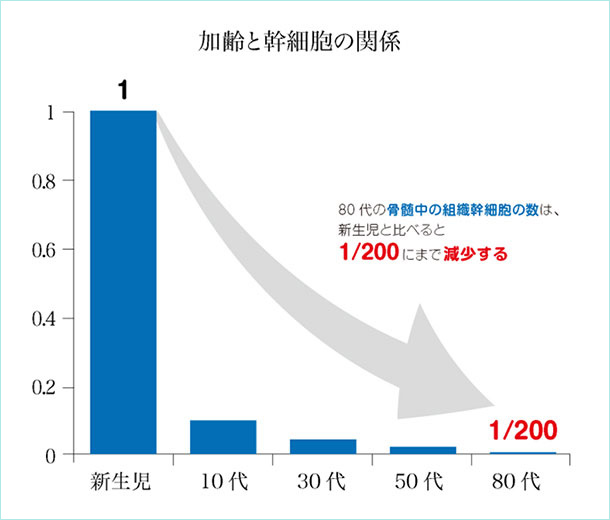 加齢と幹細胞
