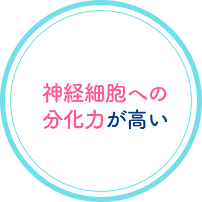 神経細胞への分化力が高い