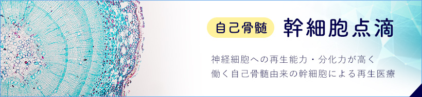 幹細胞点滴