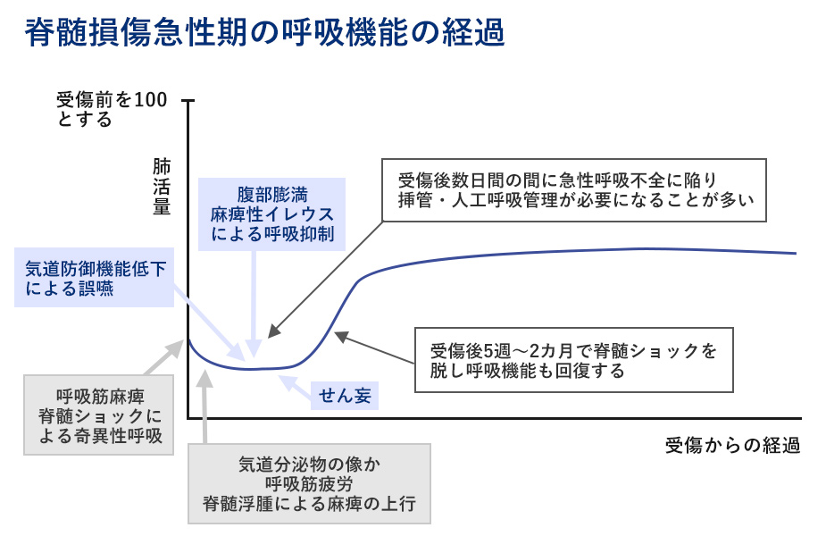 脊髄損傷急性期の呼吸機能の経過