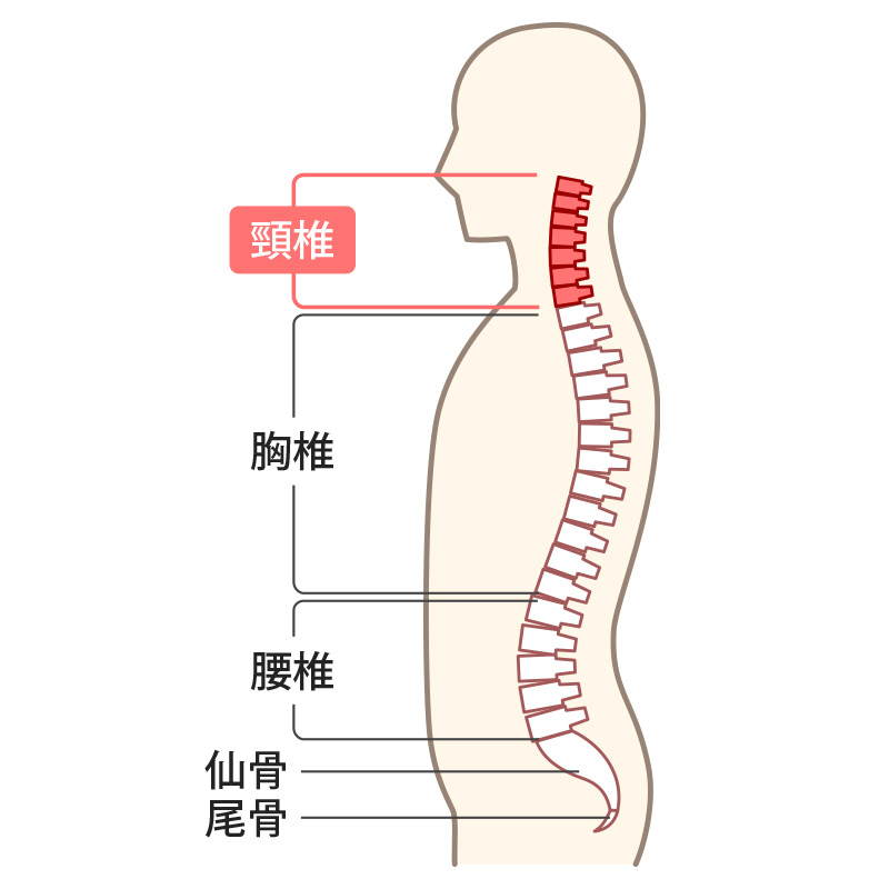 頸椎